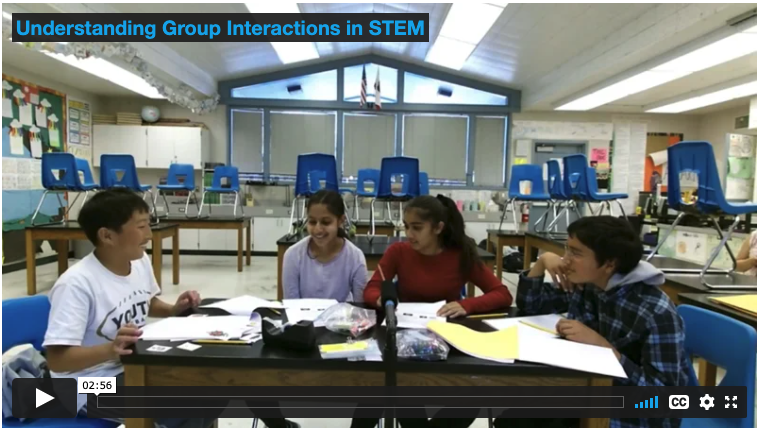 Understanding Group Interactions in STEM