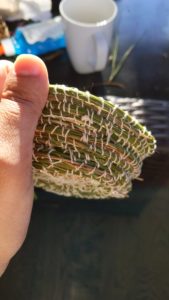 hand holds a small green and brown pine needle basket that is in the process of being sewn.