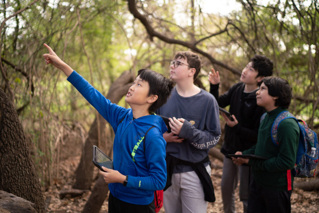 Four boys surrounded by trees and pointing to the left.